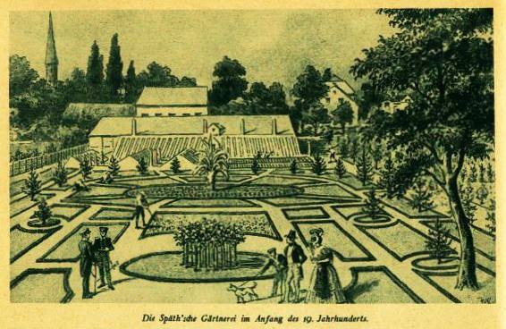 Die Gärtnerei Späth um 1900